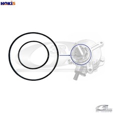 GASKET VACUUM PUMP 74100 FOR