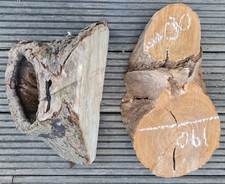 Spalted Ash and Cherry Blanks