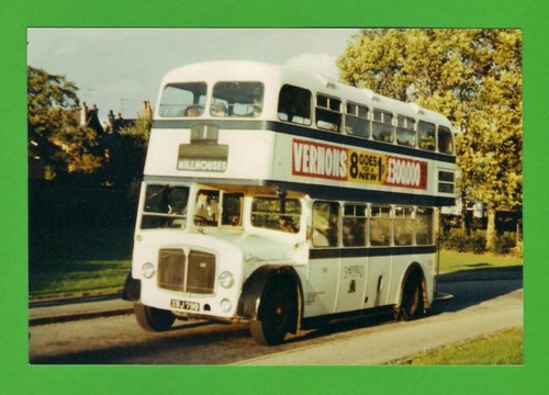 Std bus photo - std,