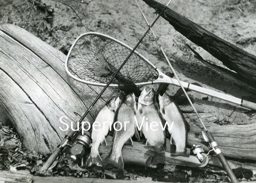 Old time fishing brook trout - old,
