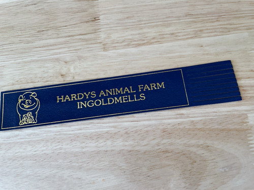 Hardys animal farm ingoldmells - animal,