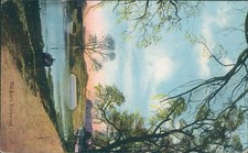 Ringwood the avon 1909 - , shurey