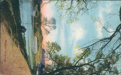 Ringwood the avon 1909 shurey - avon,