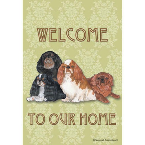 English toy springer - springer, spaniels