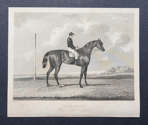Antique 1843 print - print, horse