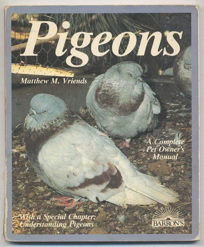 Pigeons n a - pigeons,