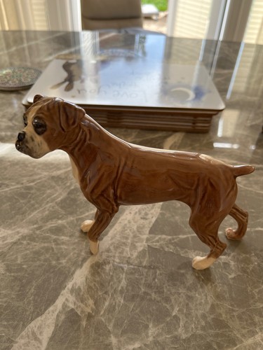 China boxer dog the - china, of