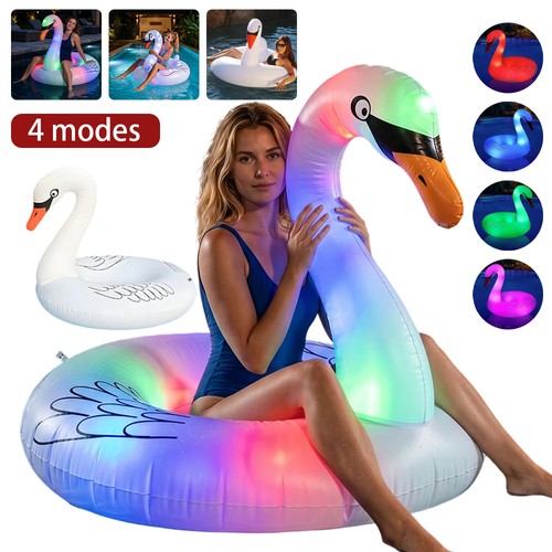 Inflatable swan pool - swan, floats