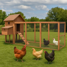 Eggland Chicken Coop for 6–9