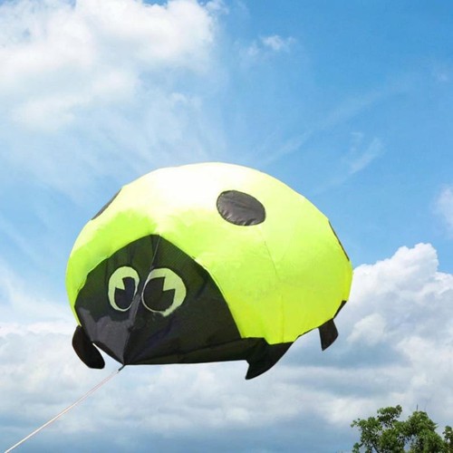 Ladybird kite with - with, kites