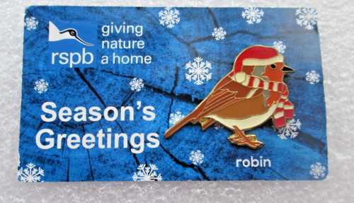 Rspb charity pin badge - rspb,