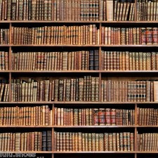 Library Bookshelf Book Print