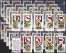 PLAYERS-FULL SET- BOY SCOUT & GIRL GUIDE 1933 (50 CARDS) EXCELLENT