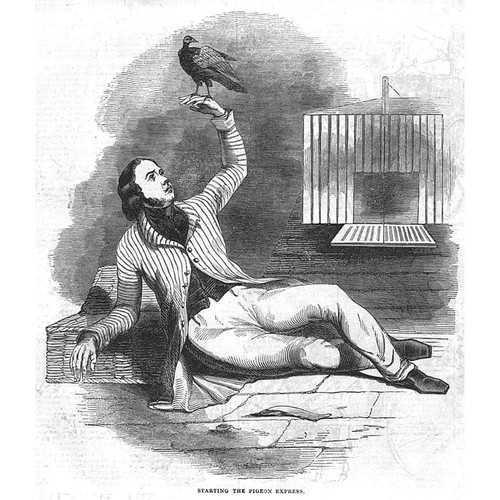 Starting the pigeon express - express,