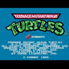 Used teenage mutant ninja - used,