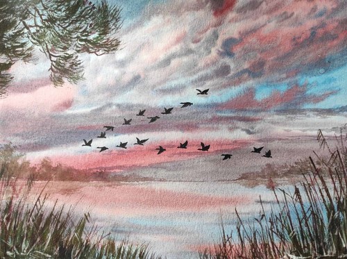 Bird ducks flying sky - bird,