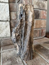 9.8 Lbs. LARGE PETRIFIED WOOD