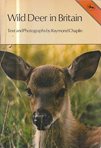 Wild deer britain - wild,