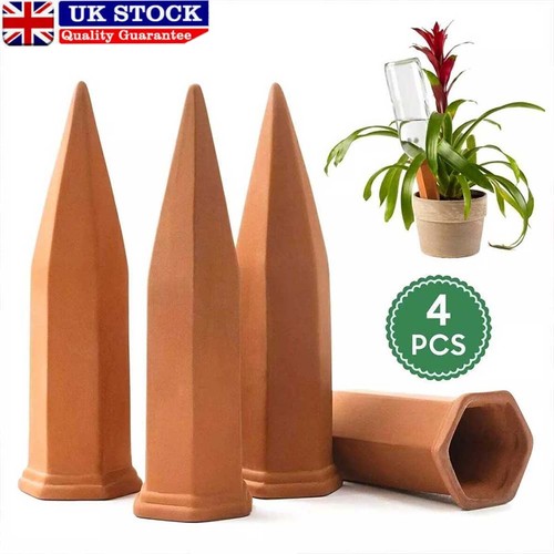Pack terracotta plant - 4/8,