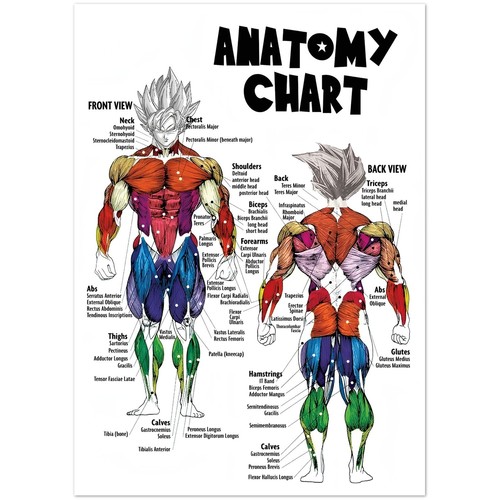 Dragon ball anatomy chart - dragon,