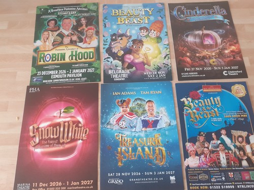New 2026 2027 panto flyers - new,