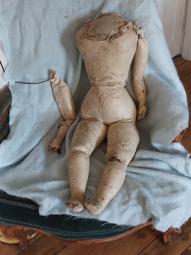 Large body skin - large,
