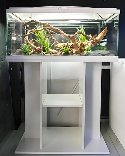 Brand new large glass - **,
