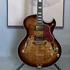 Vintage Burst Byrdland