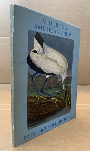 Audubon american birds - american,