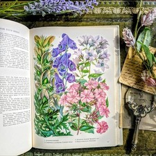 Vintage Plant Encyclopedia