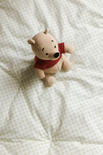 Disney sanderson winnie - winnie, the
