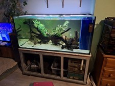 Large Fish Tank Aquarium 30inches Wide