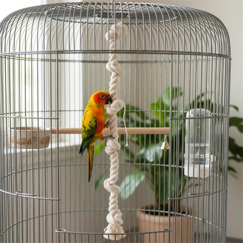 Parrot climbing cotton rope - parrot,