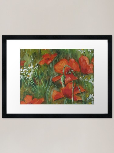 Macro poppy bloom - macro, red