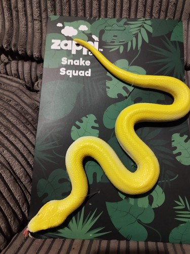 Zappi snake squad - zappi, golden