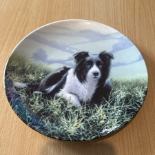 Danbury Mint The Border Collie