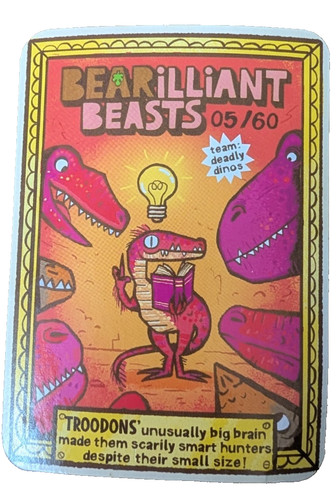 Yoyo bear bearilliant - bear,