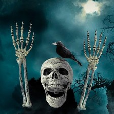 Halloween Skeleton Decoration