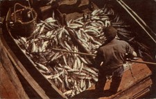 Cape Cod Massachusetts Fishing