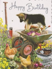 OPEN FEMALE MALE HAPPY