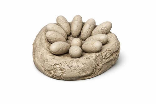 Dinosaur nest with - nest, 10