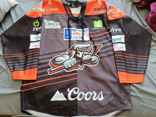 Sheffield steelers ice - sheffield,
