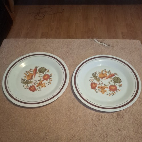 Arcopal vegetable set 2 - vegetable,