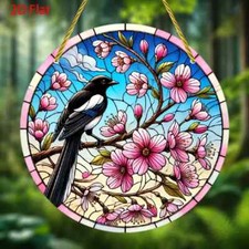 Magpie Bird on Cherry Blossom