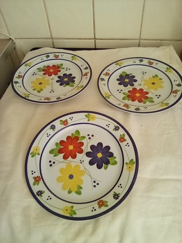 Melamine picnic plates - 3,