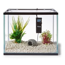 Kids 19L Fish Aquarium Starter