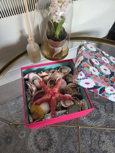 Decorative box with - box, seashells