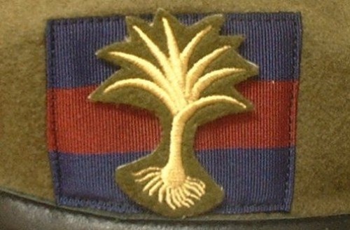 Welsh guards beret - welsh,