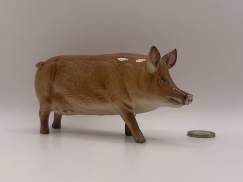 Beswick tamworth pig rare - pig,