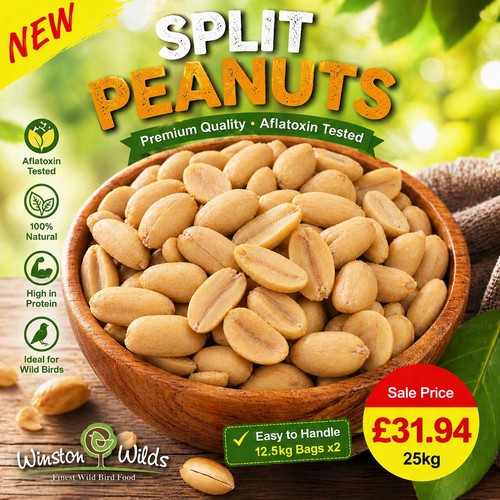 25kg wild bird - bird, peanuts